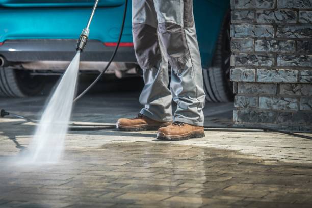 Animal Enclosure Cleaning in Gotha, FL