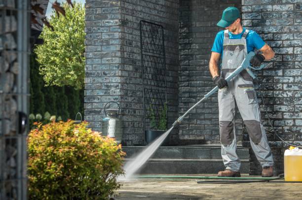 Best Animal Enclosure Cleaning  in Gotha, FL
