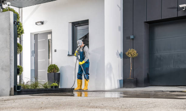 Best Paint Preparation  in Gotha, FL